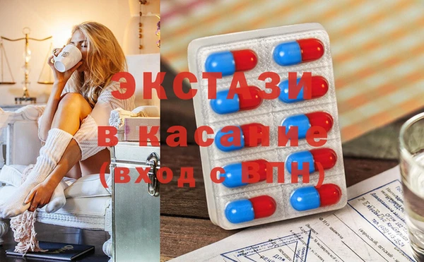 ECSTASY Бородино