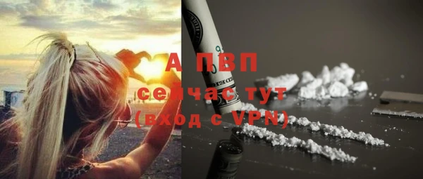 ECSTASY Бородино
