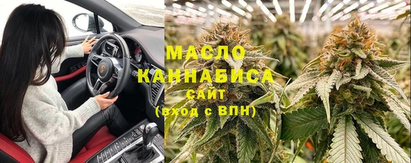 ECSTASY Бородино
