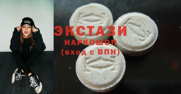 ECSTASY Бородино