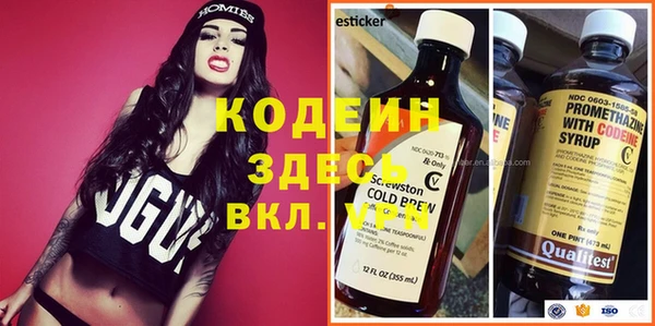 ECSTASY Бородино
