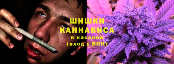 ECSTASY Бородино