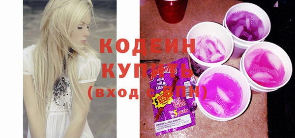 ECSTASY Бородино