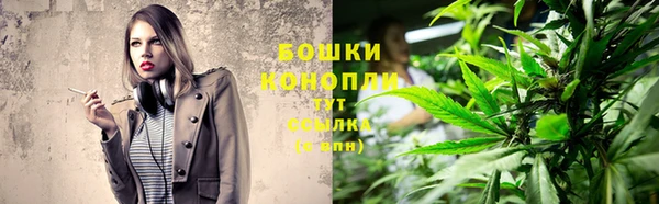 ECSTASY Бородино