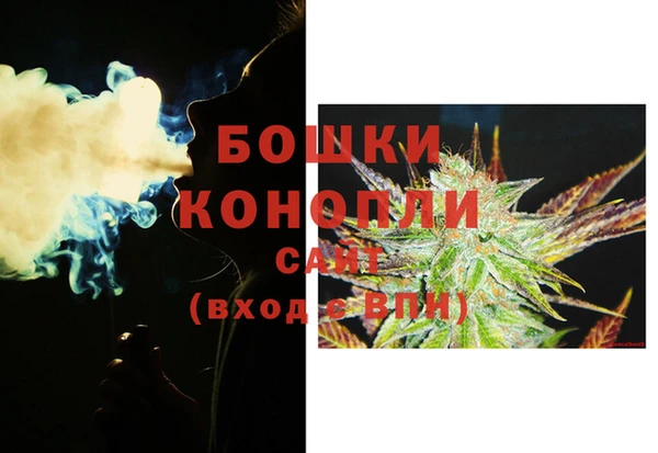 ECSTASY Бородино