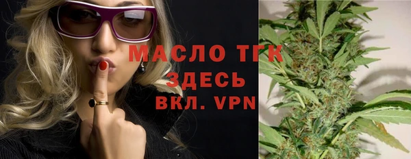 ECSTASY Бородино