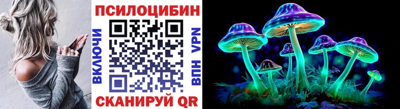 Галлюциногенные грибы Psilocybe  Горнозаводск 